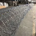 Concertina galva.webp