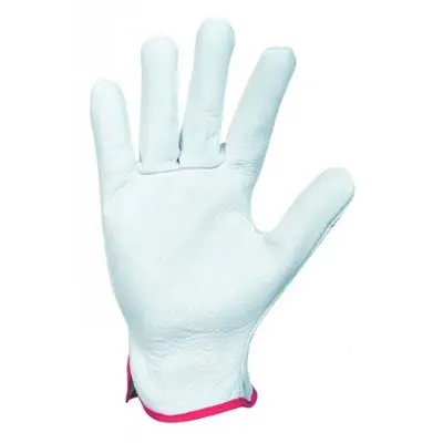 GANT FLEUR BOVIN 10