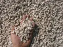 Gravier quartzite